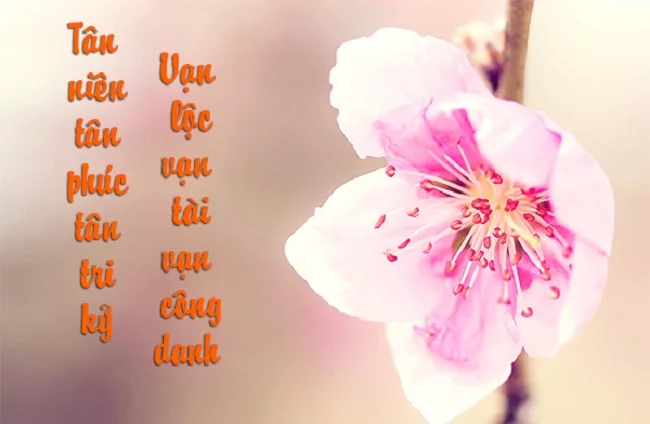 Tải ngay 50+ mẫu thiệp chúc mừng năm mới độc đáo và ý nghĩa nhất
