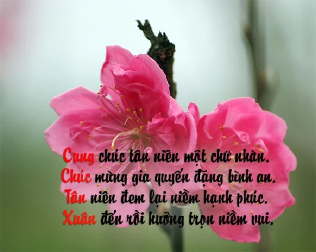 Tải ngay 50+ mẫu thiệp chúc mừng năm mới độc đáo và ý nghĩa nhất