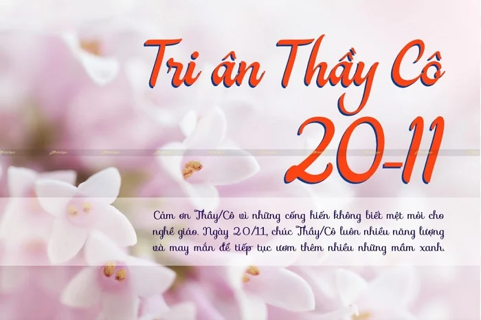 Tổng hợp 30+ mẫu thiệp chúc mừng Ngày Nhà giáo Việt Nam cực ý nghĩa