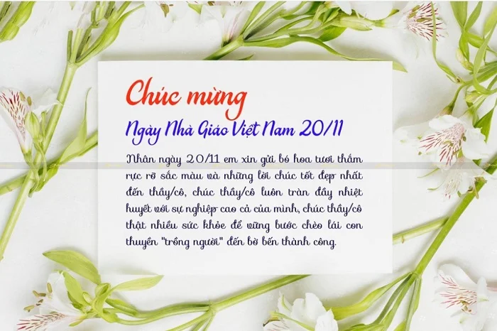 Tổng hợp 30+ mẫu thiệp chúc mừng Ngày Nhà giáo Việt Nam cực ý nghĩa