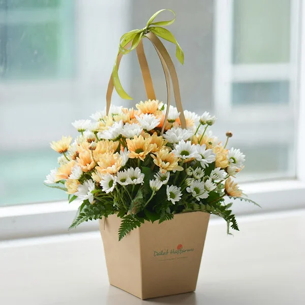 Cúc họa my mang vẻ đẹp gần gũi, quen thuộc và tinh tế
