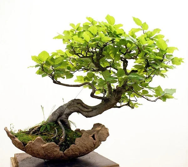 Top 20+ món quà tết doanh nhân sang trọng và cực ý nghĩa