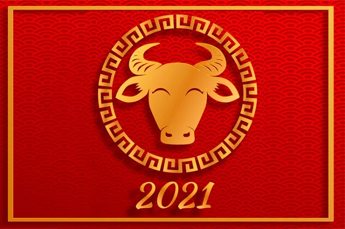 Background tết 2021