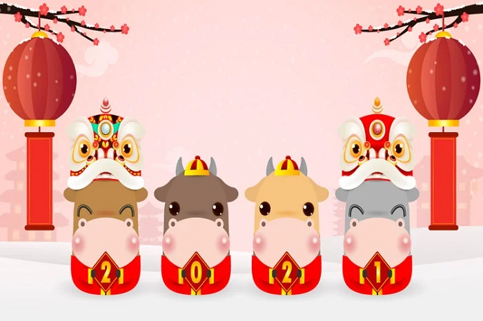 Background tết