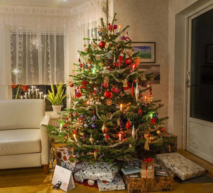 Dowload trọn bộ 50+ hình ảnh cây thông noel ấn tượng nhất 