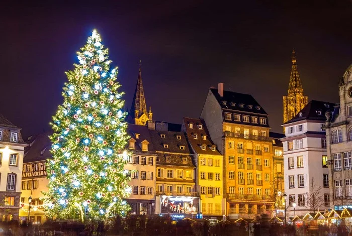 Dowload trọn bộ 50+ hình ảnh cây thông noel ấn tượng nhất 