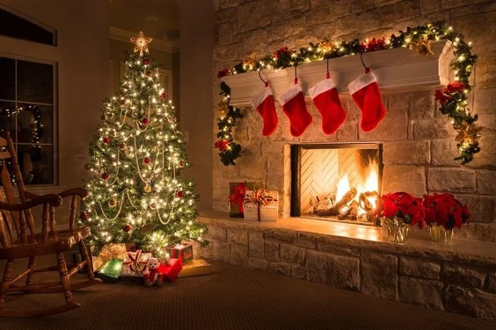 Dowload trọn bộ 50+ hình ảnh cây thông noel ấn tượng nhất 