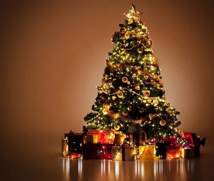 Dowload trọn bộ 50+ hình ảnh cây thông noel ấn tượng nhất 