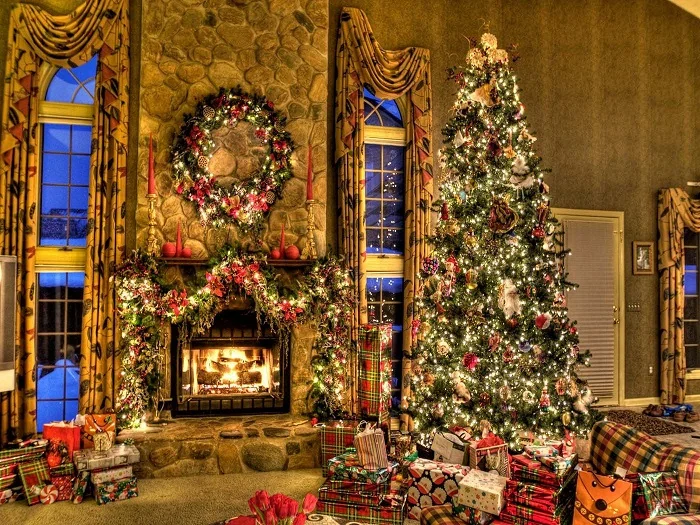 Dowload trọn bộ 50+ hình ảnh cây thông noel ấn tượng nhất 