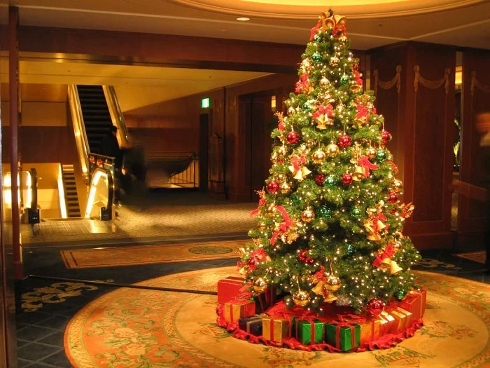 Dowload trọn bộ 50+ hình ảnh cây thông noel ấn tượng nhất 