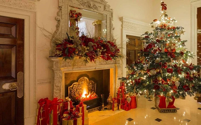 Dowload trọn bộ 50+ hình ảnh cây thông noel ấn tượng nhất 
