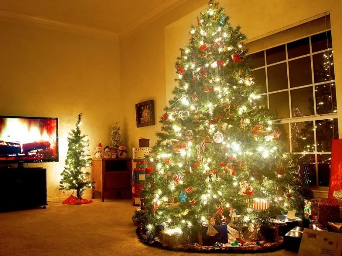 Dowload trọn bộ 50+ hình ảnh cây thông noel ấn tượng nhất 