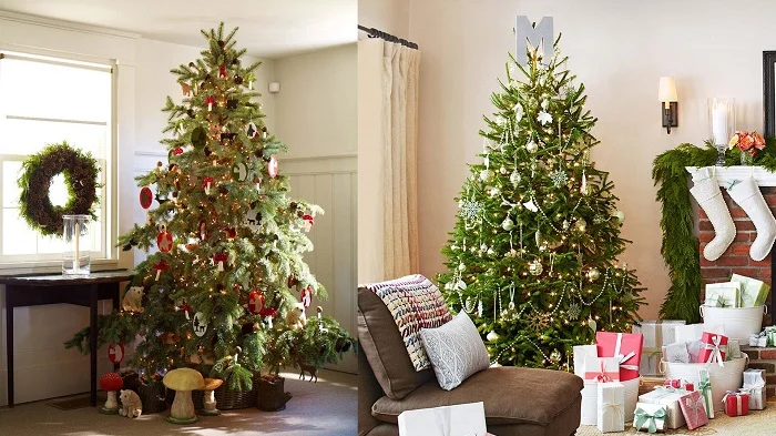 Dowload trọn bộ 50+ hình ảnh cây thông noel ấn tượng nhất 