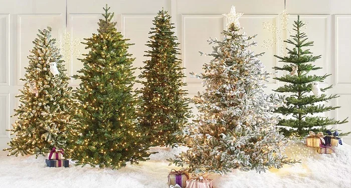 Dowload trọn bộ 50+ hình ảnh cây thông noel ấn tượng nhất 