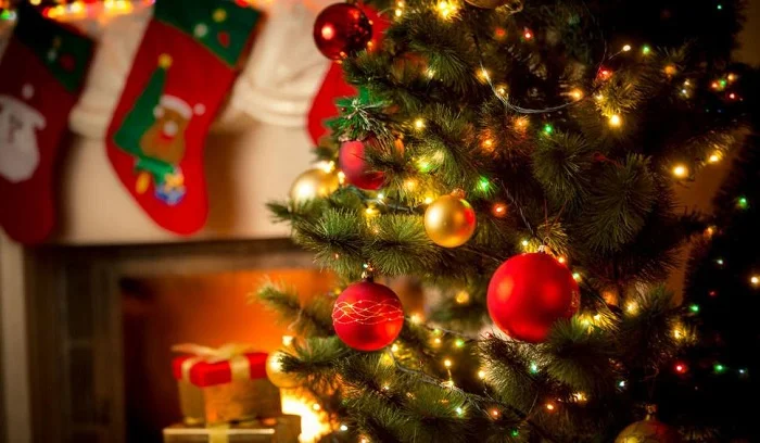 Dowload trọn bộ 50+ hình ảnh cây thông noel ấn tượng nhất 