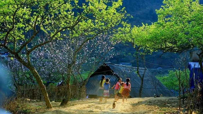 Tết dương lịch nên đi đâu? Gợi ý địa điểm du lịch trong và ngoài nước hấp dẫn nhất.