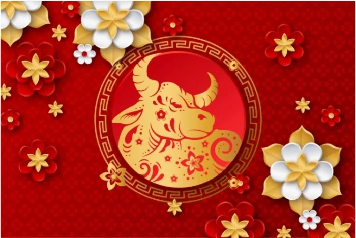 Download trọn bộ mẫu thiệp chúc mừng năm mới vector được yêu thích nhất 