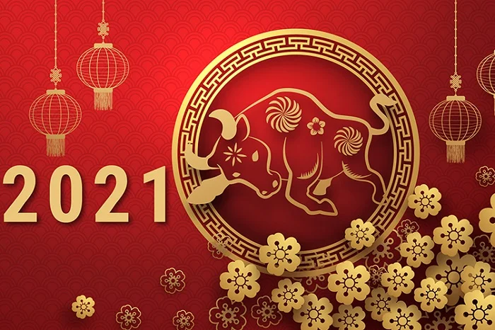Download trọn bộ vector con trâu chào tết Tân Sửu cực ấn tượng