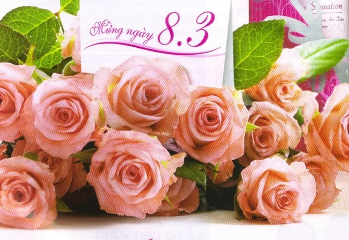 Download miễn phí 30+ hình ảnh chúc mừng 8/3 độc đáo và ấn tượng nhất