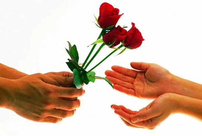 Download miễn phí 30+ hình ảnh chúc mừng 8/3 độc đáo và ấn tượng nhất