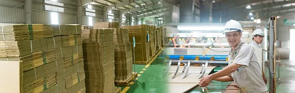 Giới thiệu công ty Cổ phần Đầu tư Thương mại và Sản xuất Bao bì Phương Linh