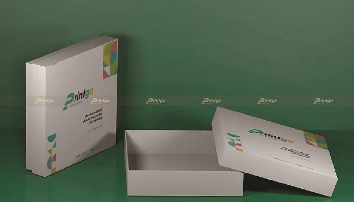 Tìm hiểu chi tiết về hộp carton lạnh: Chất liệu, kiểu dáng và ứng dụng