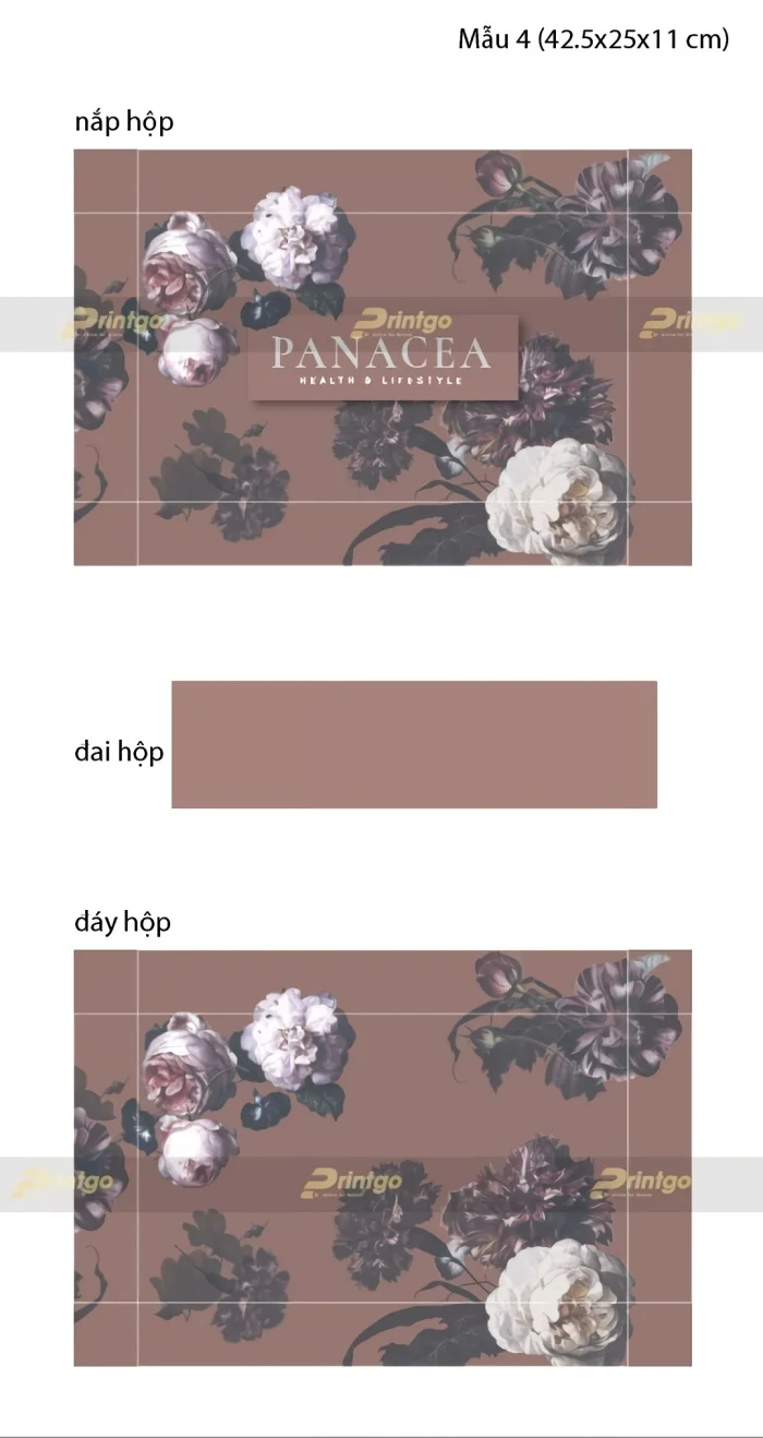 Printgo x Panacea: Thiết kế và in ấn bộ nhận diện thương hiệu độc đáo, ấn tượng