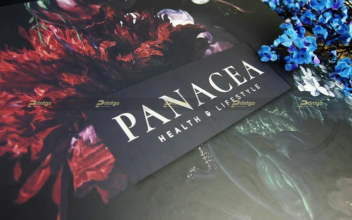 Printgo x Panacea: Thiết kế và in ấn bộ nhận diện thương hiệu độc đáo, ấn tượng