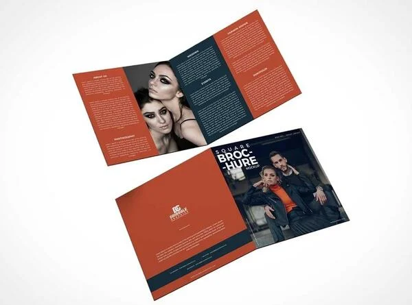 các mẫu Brochure đẹp