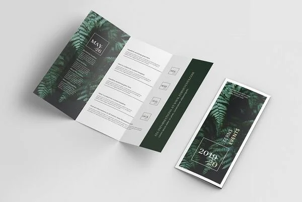 mẫu Brochure