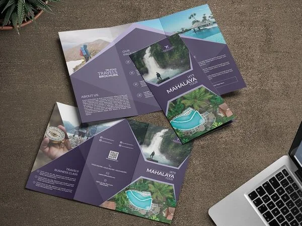 mẫu Brochure đẹp