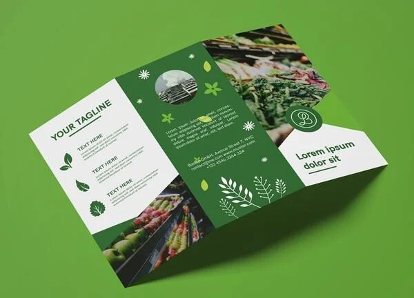 Mẫu Brochure
