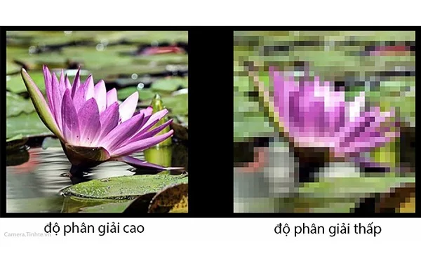 Resolution trong photoshop là gì? Những điều cần biết về resolution khi in ảnh