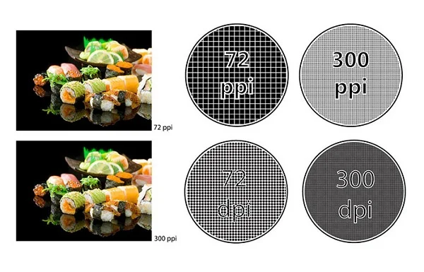 Resolution trong photoshop là gì? Những điều cần biết về resolution khi in ảnh
