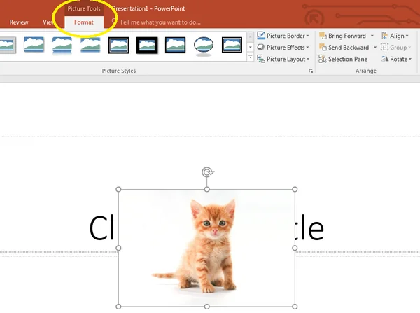 Hướng dẫn từ A-Z cách chèn ảnh vào PowerPoint