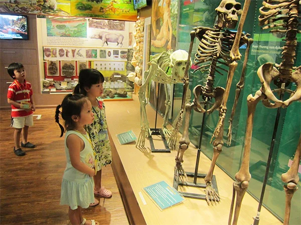 Độ tuổi thiếu nhi là bao nhiêu? Ngày Quốc tế Thiếu nhi dành cho những bạn nhỏ bao nhiêu tuổi nào?