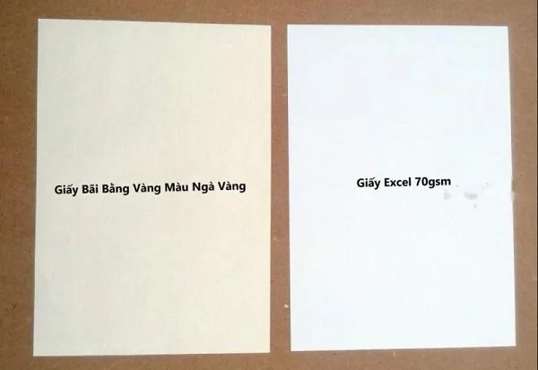 Phân loại Giấy Bãi Bằng