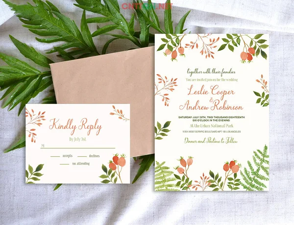 TOP 5 phần mềm thiết kế thiệp mời đơn giản, dễ sử dụng nhất