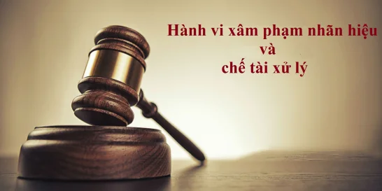 Dấu hiệu nhận biết, quy trình xử lý hành vi xâm phạm nhãn hiệu