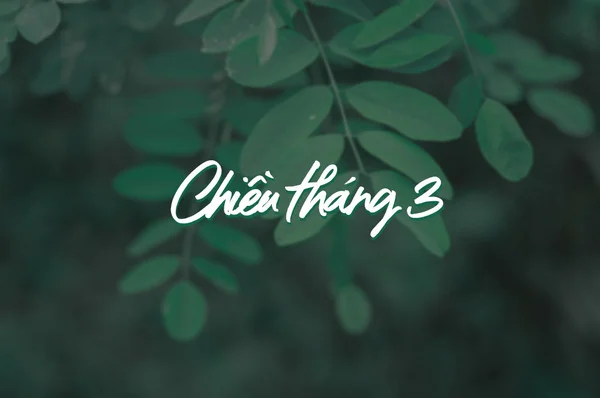 Chia sẻ miễn phí 100+ font iCiel đẹp tuyệt vời cho thiết kế