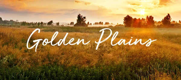 Download font Script Việt hoá miễn phí đẹp và mới nhất hiện nay