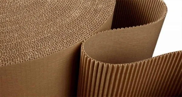 Giấy carton là gì? Thành phần và phân loại giấy carton