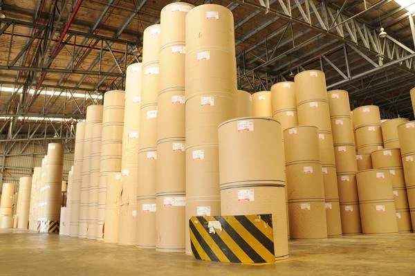 Giấy carton là gì? Thành phần và phân loại giấy carton