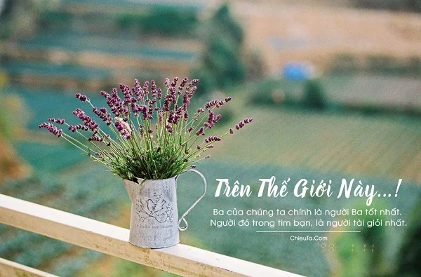 Gợi ý hơn 20+ Stt ngày của Cha ấn tượng và ý nghĩa nhất hiện nay