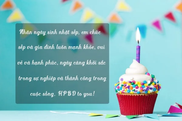 Tổng hợp 50+ mẫu thiệp chúc mừng sinh nhật sếp ấn tượng, ý nghĩa
