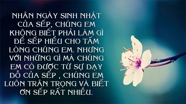 Tổng hợp 50+ mẫu thiệp chúc mừng sinh nhật sếp ấn tượng, ý nghĩa