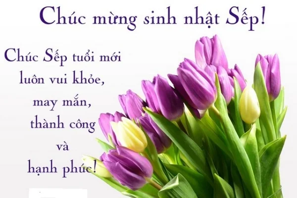 Tổng hợp 50+ mẫu thiệp chúc mừng sinh nhật sếp ấn tượng, ý nghĩa