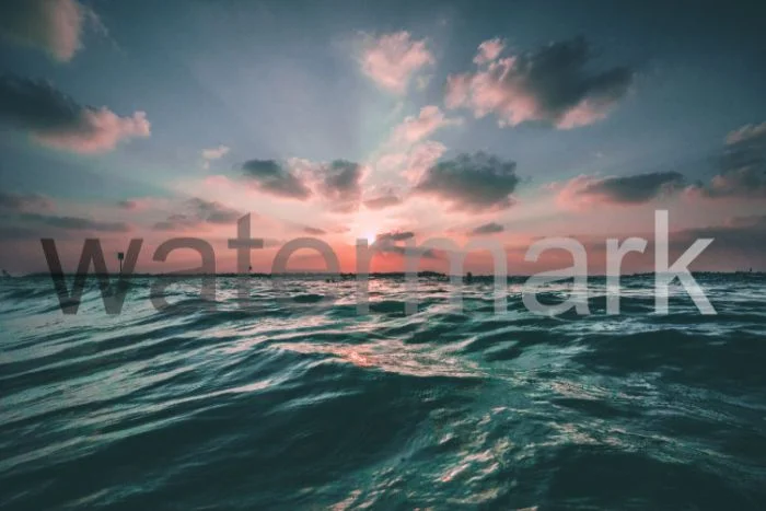 Watermark là gì? TOP 7 phần mềm watermark đóng dấu ảnh hàng loạt