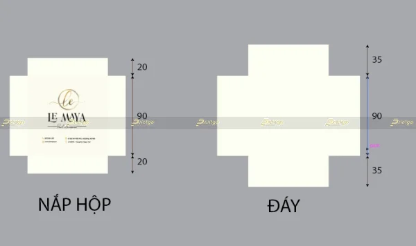 Download mẫu thiết kế hộp giấy file vector cực xịn năm 2021