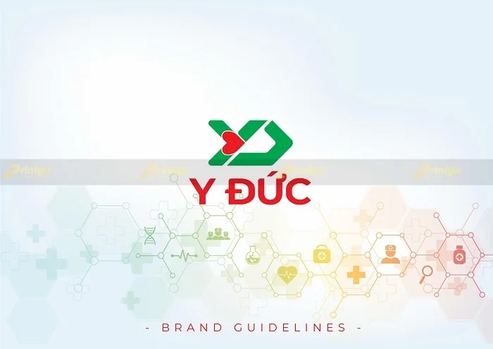 Printgo x Y Đức: Xây dựng bộ nhận diện thương hiệu ấn tượng, chuyên nghiệp và ý nghĩa cho ngành dược